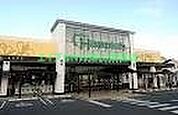 ハピッシュ国府市場店 518m