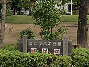 春江ツバキ公園 徒歩10分。 760m