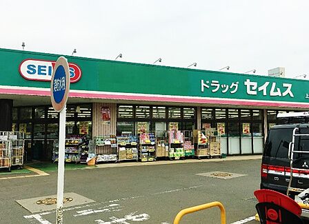 ドラッグセイムス 上福岡西店(1201m)
