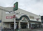 マルエツ 大宮大和田店（3336m）