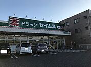 ドラッグセイムス 大宮吉野町店（1845m）