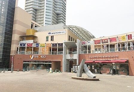 ヤオコー 上福岡西口店(2256m)