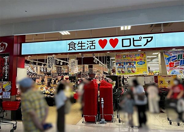 周辺を拡大表示