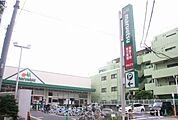マルエツ 成増南口店（1910m）