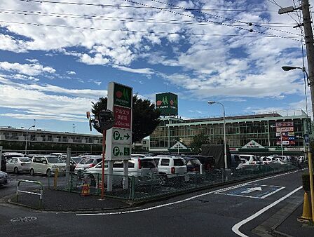 マルエツ 朝霞店(1335m)