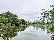 徒歩2分、水元公園