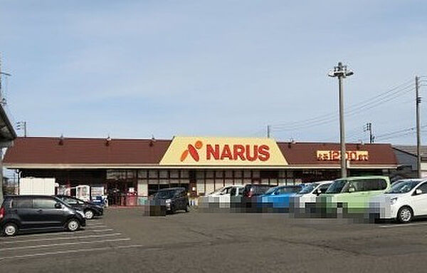 画像17:【スーパー】NARUS(ナルス) 鴨島店まで984ｍ