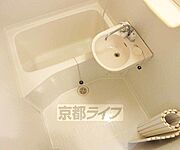 セパレートです