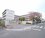 長岡第六小学校まで200m 環境良好