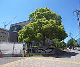 京都先端科学大学（太秦）まで343m