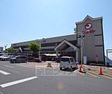 マツモト 向日店まで1550m