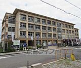下阪本小学校まで500m