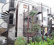 緑があります