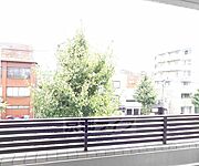 305号室からの眺望です