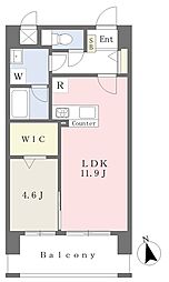 ARDIS 1LDKの間取図画像