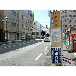 ソエルオーワン（SOEL-01）