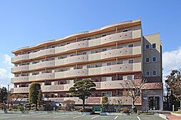 アルソ矢幅