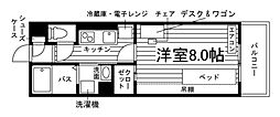 🉐敷金礼金0円！🉐エレガンス大川