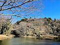 【公園】県立座...