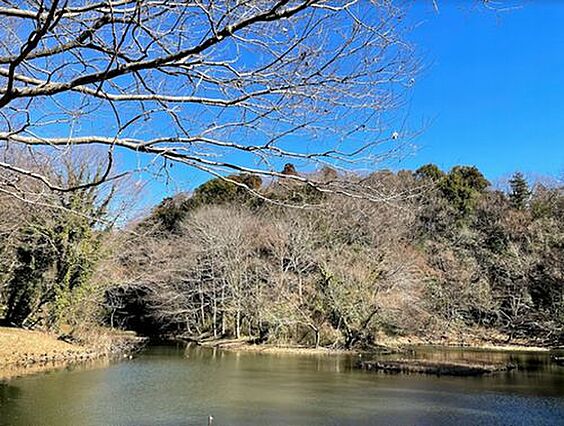 【公園】県立座...