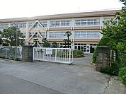 小学校 1200m 柏市立柏第七小学校