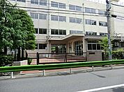 小学校 300m 練馬区立石神井小学校