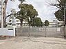 周辺：小学校 420m 市川市立真間小学校