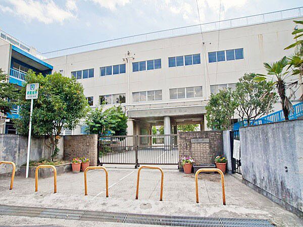 周辺を拡大表示