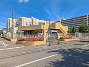 幼稚園・保育園 910m 新松戸南部保育所