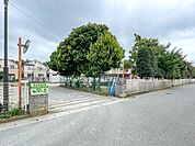 幼稚園・保育園 1480m 南初富保育園