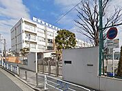小学校 500m 葛飾区立南篠崎小学校