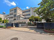 小学校 960m 松戸市立八ケ崎小学校