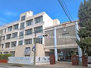 中学校 900m 川口市立青木中学校