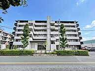 埼玉県草加市金明町：物件画像