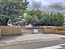 周辺：小学校 800m 松戸市立南部小学校