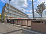 周辺：小学校 230m 江戸川区立篠崎小学校