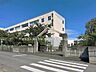 周辺：中学校 890m 八潮市立八潮中学校