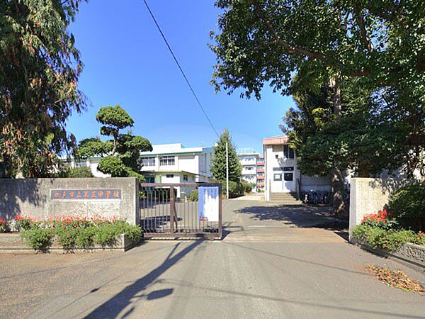 周辺を拡大表示
