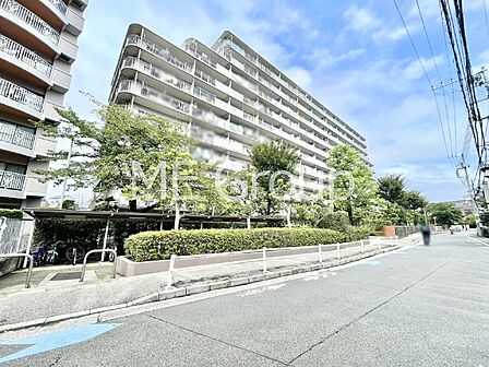 溢れる陽光でご家族の笑顔も輝く 