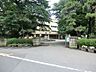 周辺：小学校 700m 柏市立柏第三小学校