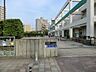 周辺：小学校 800m 江戸川区立清新第一小学校