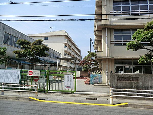 周辺を拡大表示