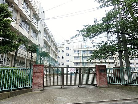 中学校 1100m 葛飾区立双葉中学校