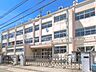 周辺：小学校 300m 足立区立中島根小学校