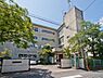 周辺：中学校 1420m 松戸市立第三中学校