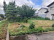 敷地（南側道路より撮影）
