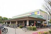 スーパー 株式会社大丸ピーコック　東小金井店 1174m