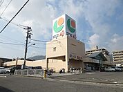 ザ・ダイソー マルショク山本店（651m）