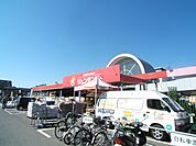 ジュンテンドー 古市店（384m）