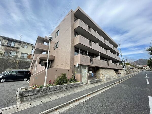 広島県広島市西区己斐上2丁目(賃貸マンション3LDK・3階・62.50㎡)の写真 その1